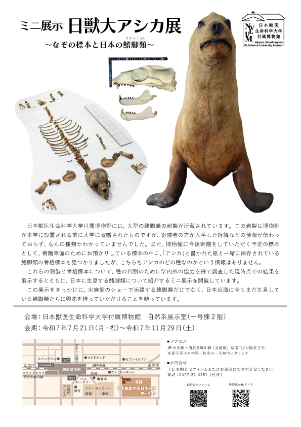 日獣大アシカ展