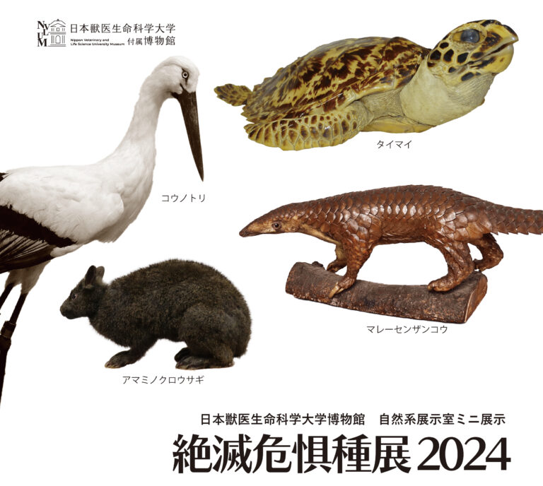 ミニ展示「絶滅危惧種展2024」開催