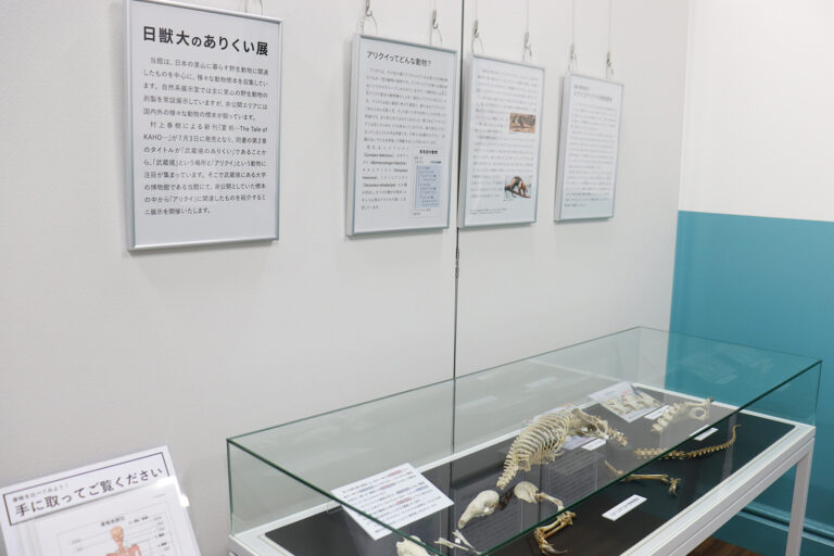 ミニ展示「日獣大のありくい展」