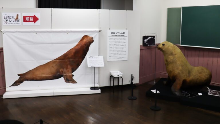 日獣大アシカ展