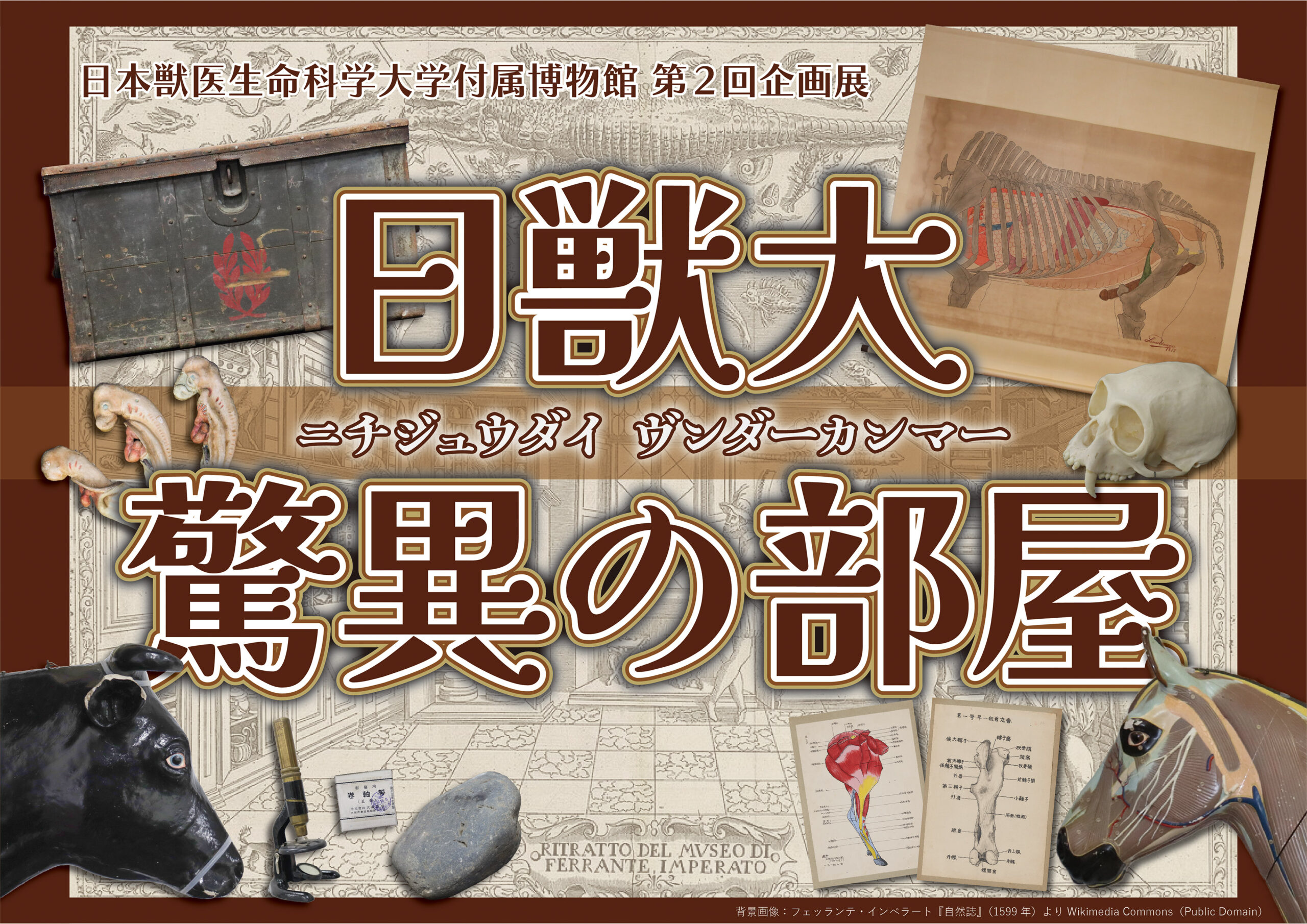 「日獣大驚異の部屋」のメインビジュアルです。獣医学に関連する模型やスケッチの画像の上に展示のタイトルが書かれています。
