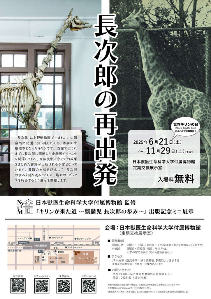 長次郎の再出発ポスター