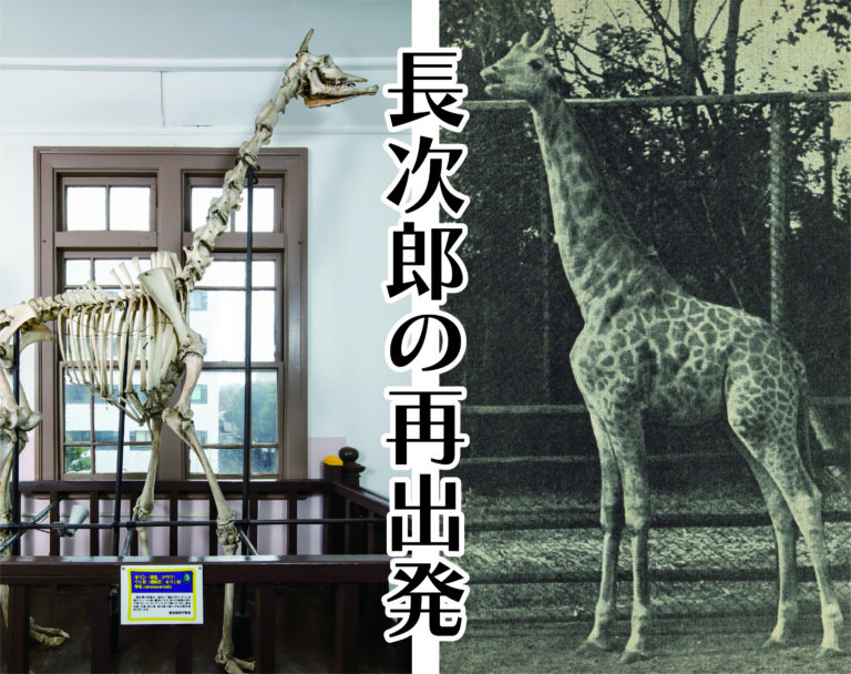 長次郎の再出発