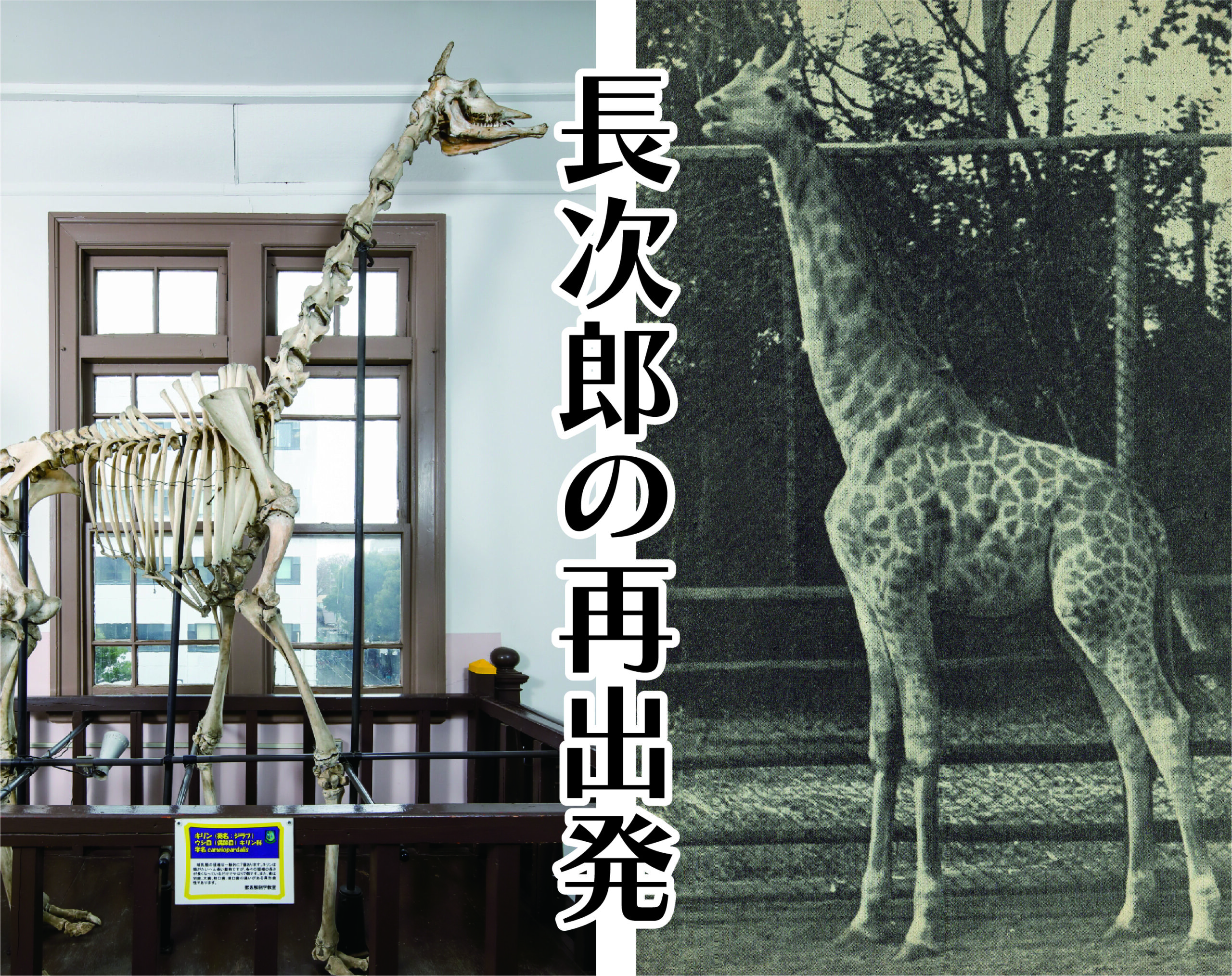 長次郎の再出発
