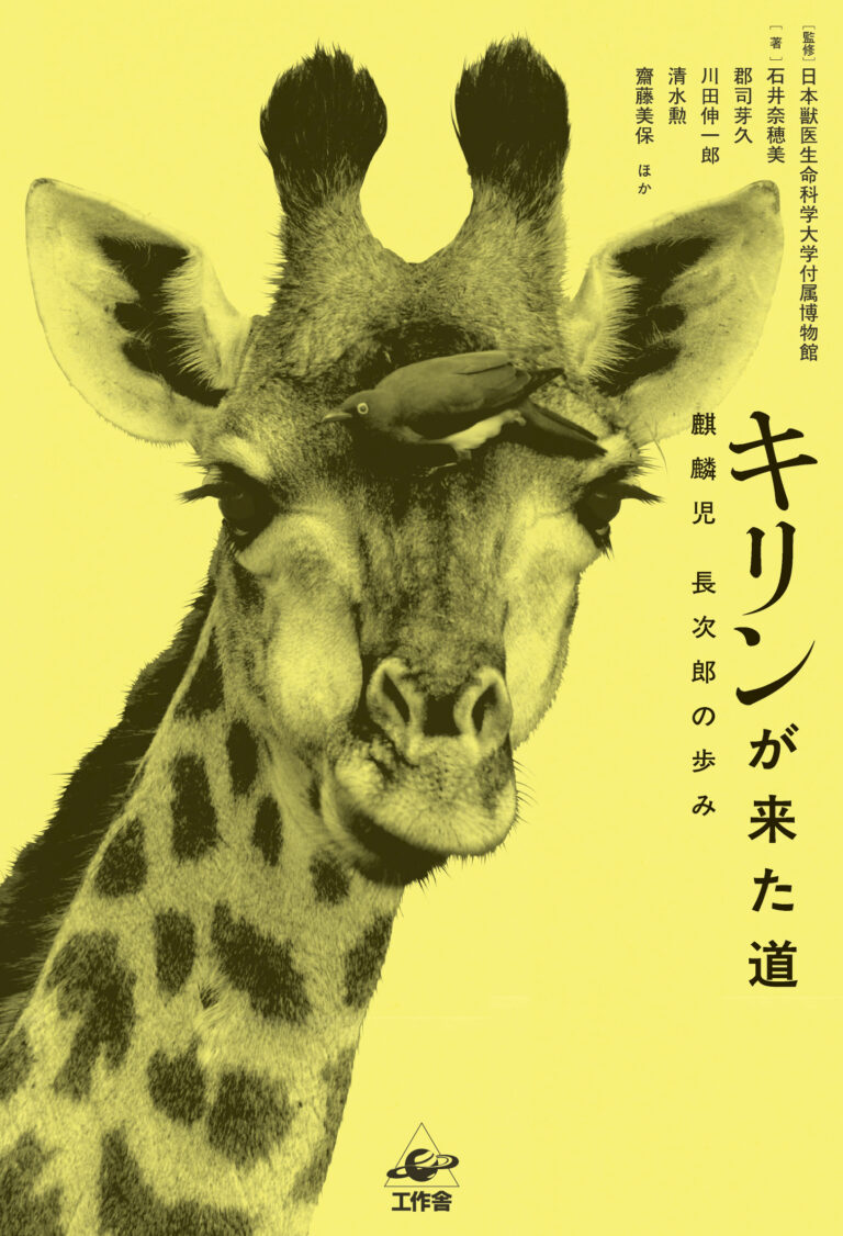 『キリンが来た道　麒麟児 長次郎の歩み』の表紙です。黄色い紙に白黒のキリンがレイアウトされ、キリンの額にはウシツツキと呼ばれる鳥がとまっています。