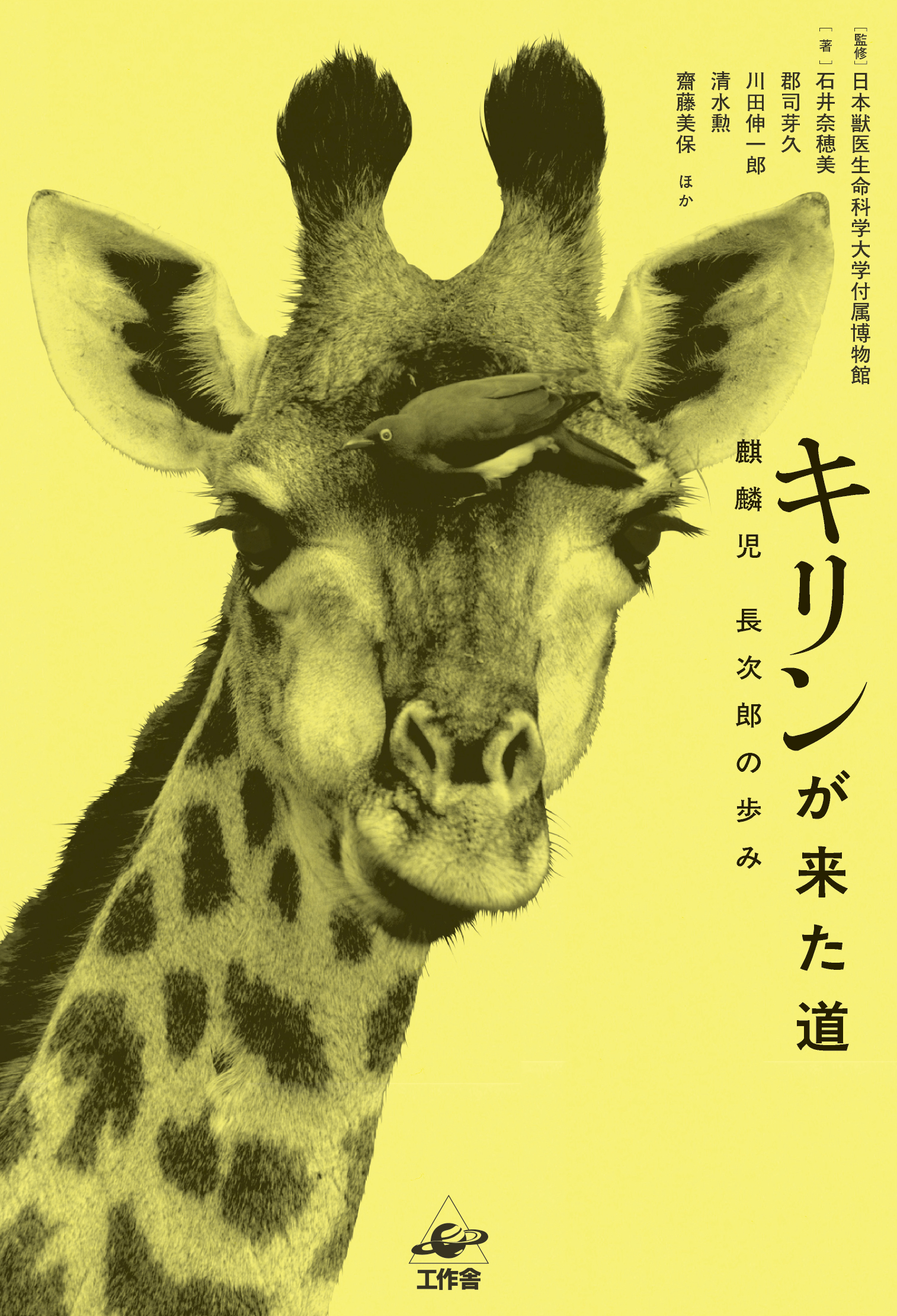 『キリンが来た道　麒麟児 長次郎の歩み』の表紙です。黄色い紙に白黒のキリンがレイアウトされ、キリンの額にはウシツツキと呼ばれる鳥がとまっています。